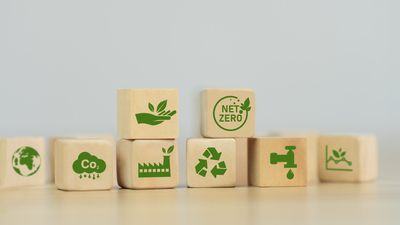 <p>Net Zero Studies</p>